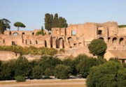 The Palatine Hill