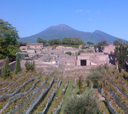 Pompeii with Mt Vesuvius  in the distance