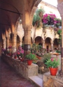 The cloister of San Francesco in Sorrento