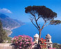 AMALFI COAST TOUR FOR DISABLED (AMALFI COAST)