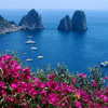 CAPRI