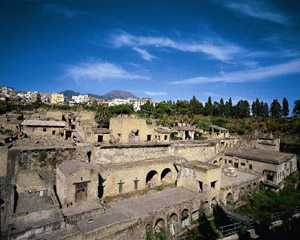 HERCULANEUM - HALF DAY